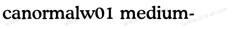 canormalw01 medium字体转换